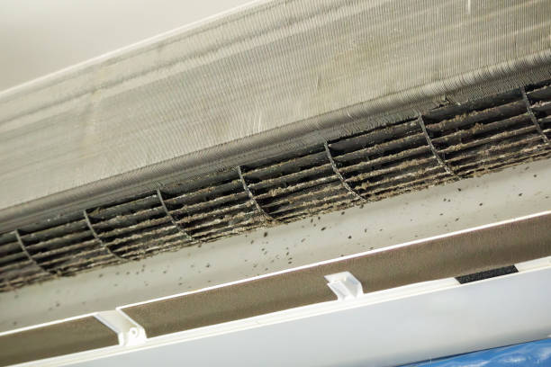 Best Affordable HVAC Duct Cleaning  in Mansfield, AR